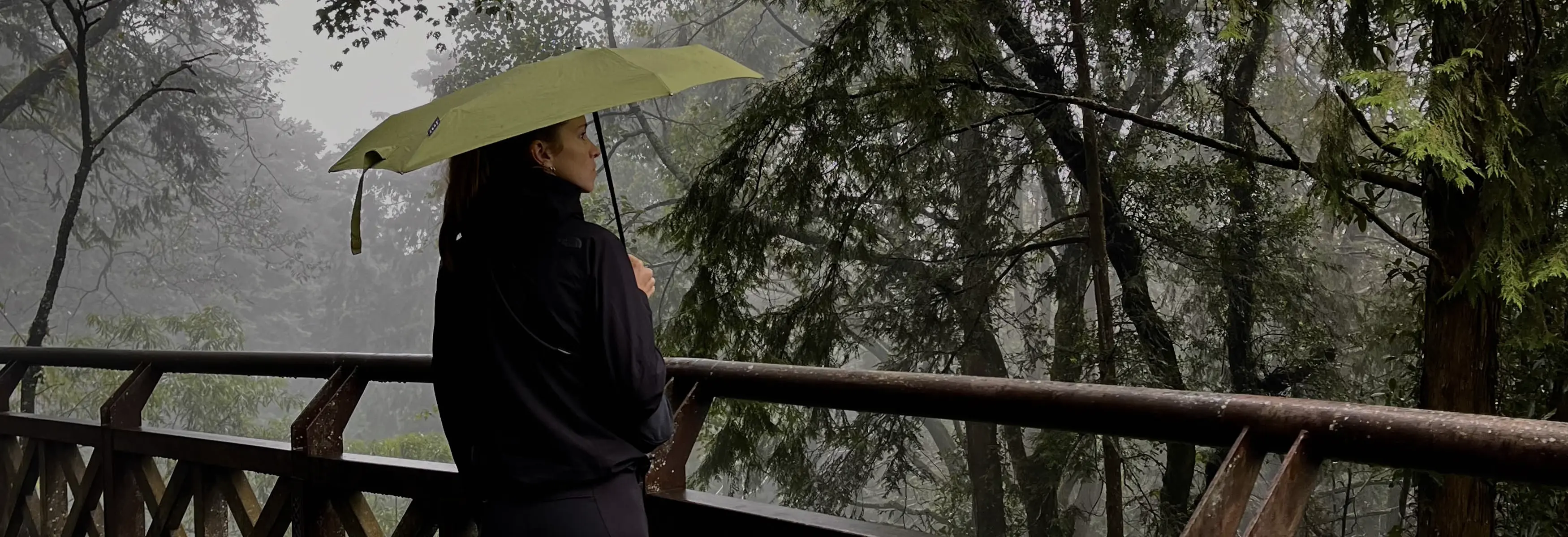micro storm umbrella