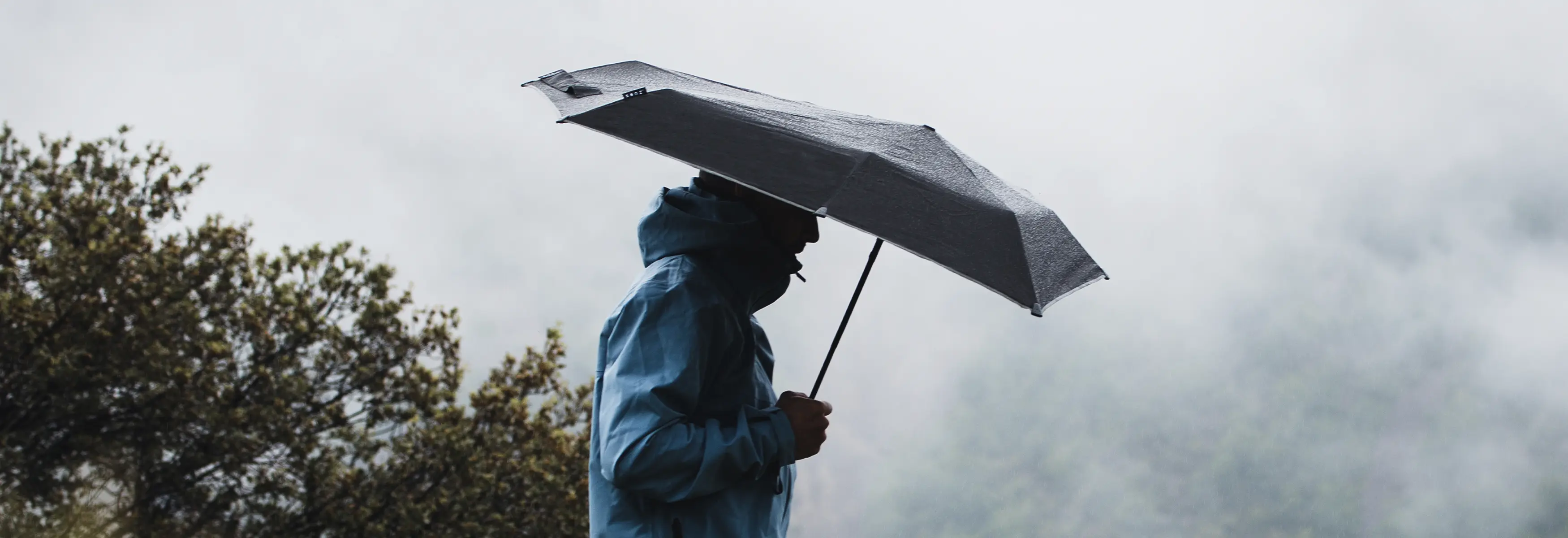 mini automatic storm umbrella
