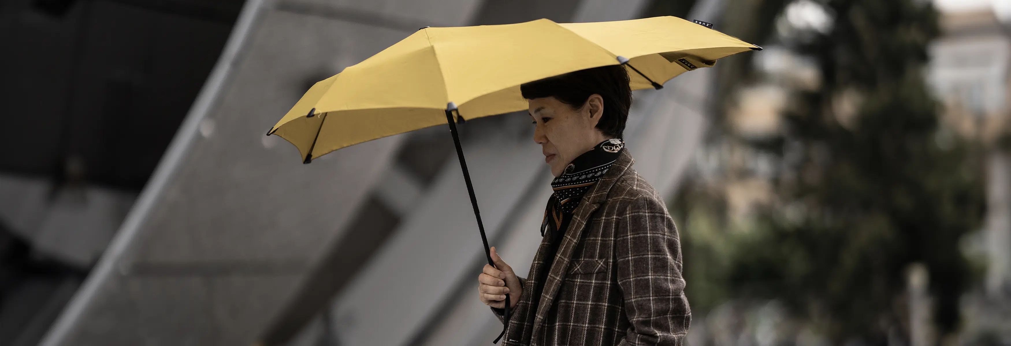 mini storm umbrella